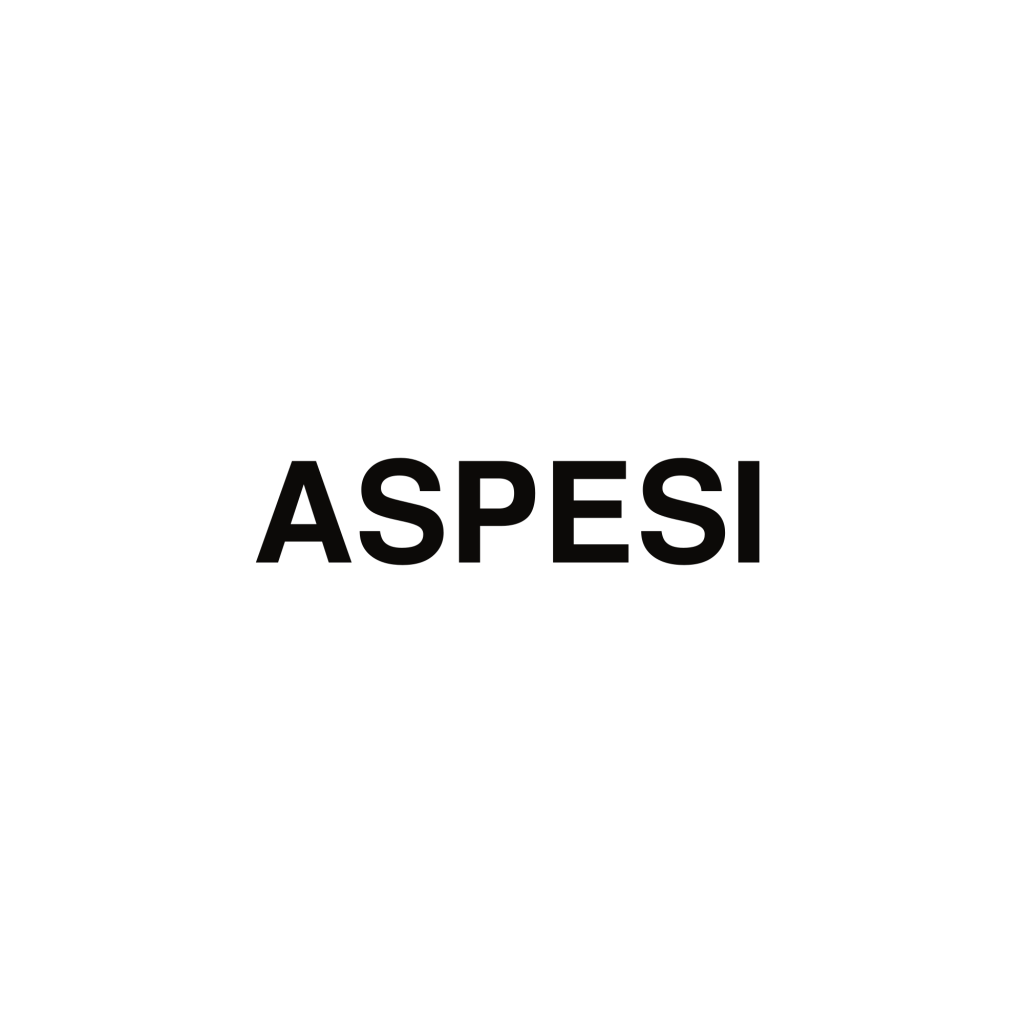 logo aspesi cmyk 1